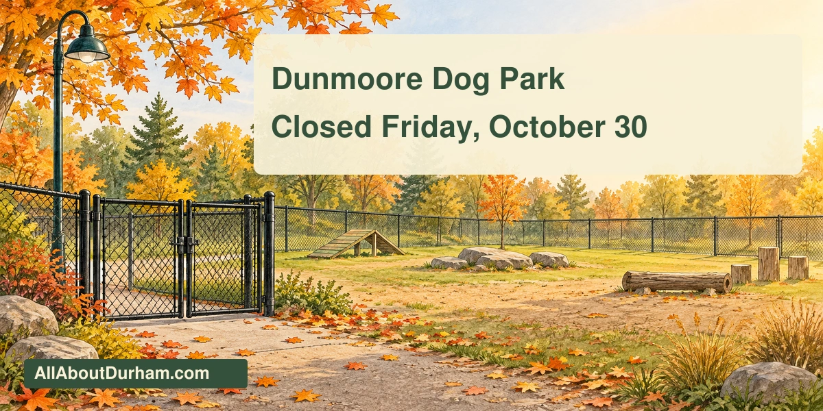 Original editorial illustration of an empty fenced dog park with a closed gate and lamp; not a photograph of Dunmoore Park.