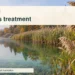 Conceptual editorial illustration of phragmites reeds and a pond-side dock; not a photograph of the treatment site.