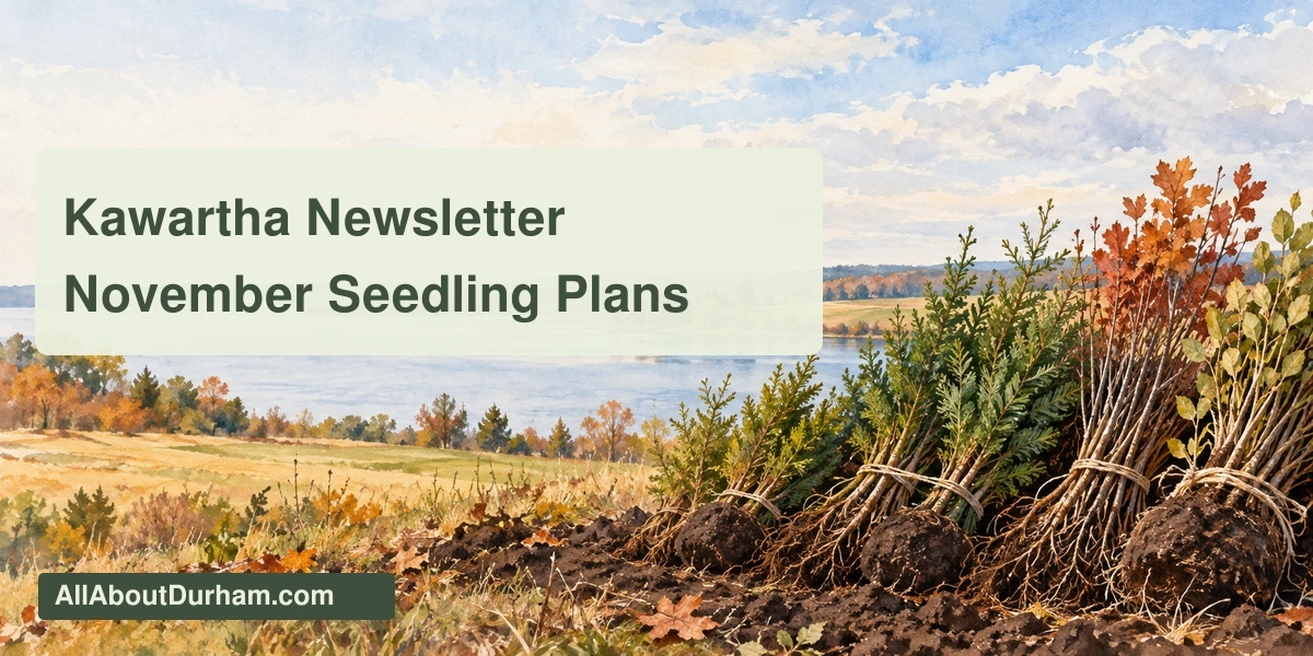 Original editorial illustration of tree seedlings beside a generic lake and farm landscape; not a photograph of a specific Scugog property.