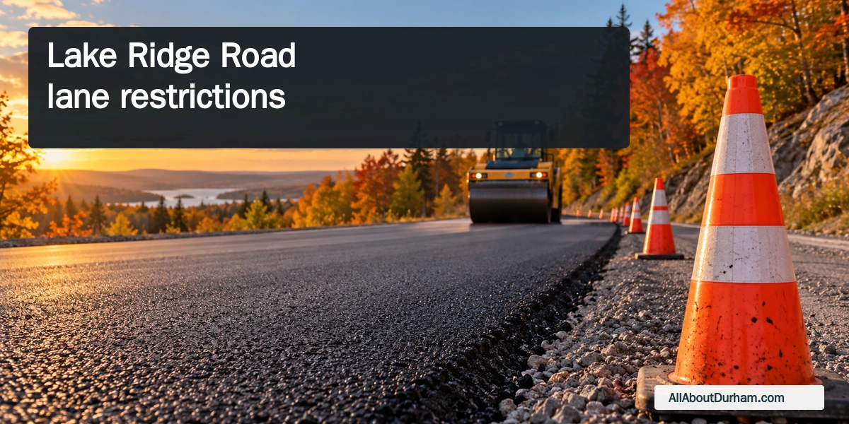Conceptual editorial illustration of cones and resurfaced asphalt beside an autumn road; not a photograph of the work zone.