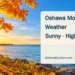 Original editorial illustration of golden autumn leaves beside a calm Lake Ontario shoreline; not an actual weather photograph.