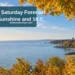 Oshawa Saturday Forecast Brings Sunshine and 18 C — AllAboutDurham.com featured image