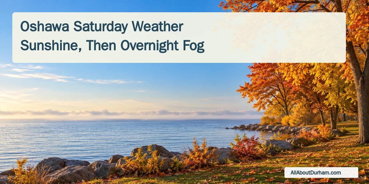Original conceptual editorial illustration of golden autumn trees beside a sunny Lake Ontario shore, with distant mist; not documentary photography.