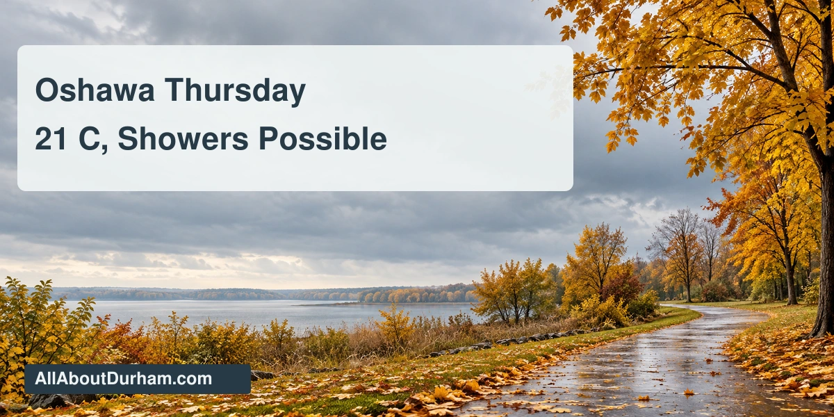 Original editorial illustration of a generic autumn park with wet paths and cloudy skies; not documentary weather photography.
