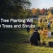 Oshawa Tree Planting Will Add 500 Trees and Shrubs — AllAboutDurham.com featured image