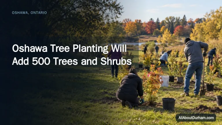 Oshawa Tree Planting Will Add 500 Trees and Shrubs — AllAboutDurham.com featured image
