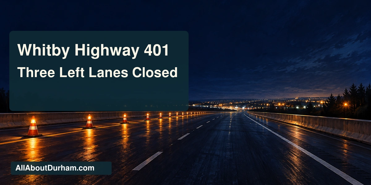 Conceptual night-time painting of a generic highway with amber cone reflections; not an actual photograph of the Lake Ridge Road collision.